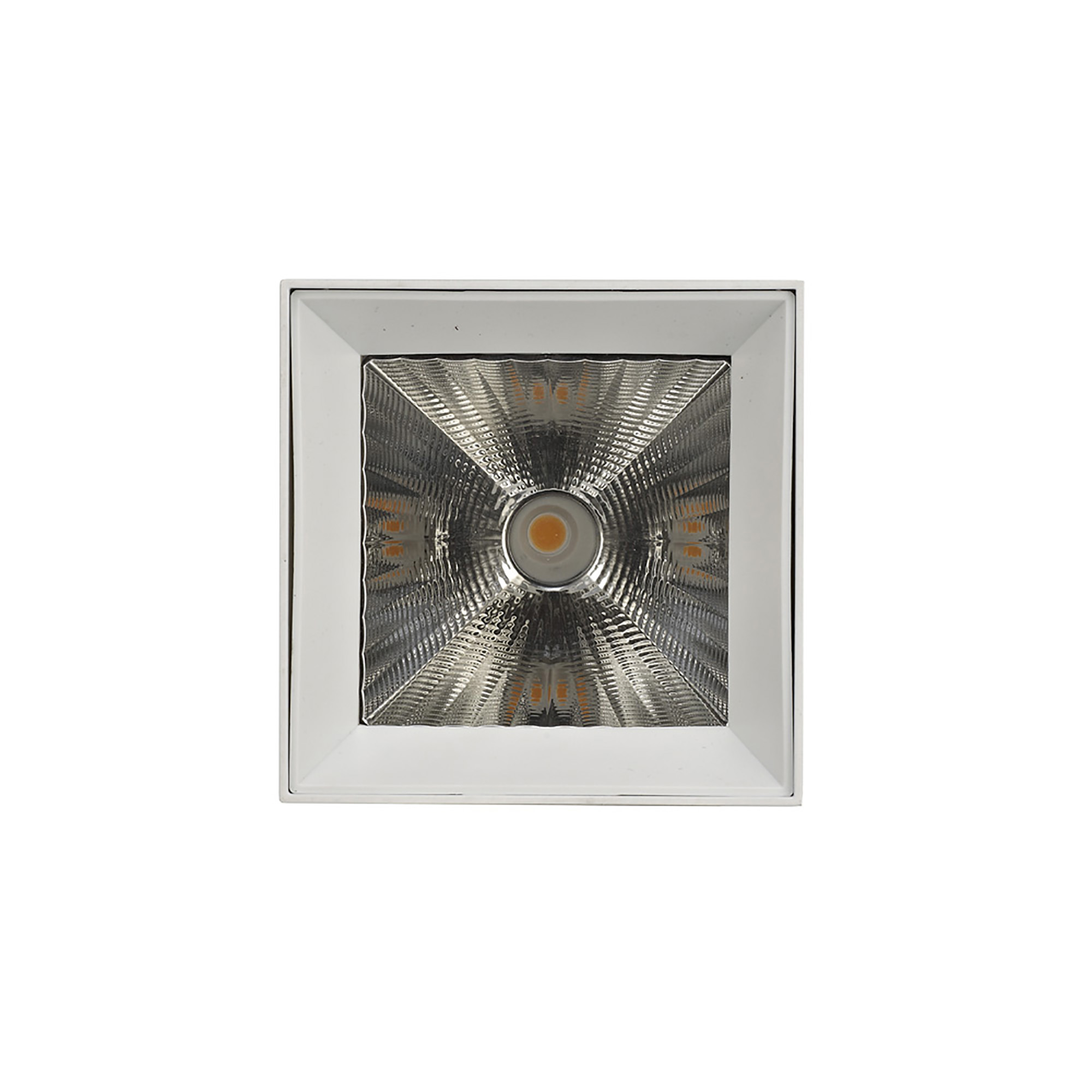 Eox 30 Indoor Surface Mounted Luminaires Dlux Unidirectional Surface Mount